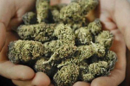 У жителя Гянджи изъяли наркотики