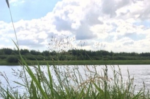 В России четыре человека погибли, спасая тонущую девочку