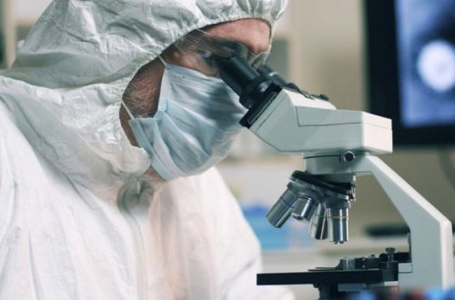 В Панаме выявили новый подвид вируса, вызывающего COVID-19