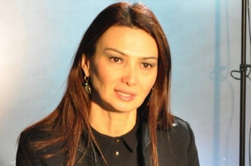 Avropa Parlamentinin üzvlərinin birgə bəyanatı Ermənistan hökumətinin ağır məğlubiyyətidir