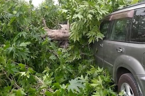 Güclü külək Bərdəni işıqsız qoydu - VİDEO