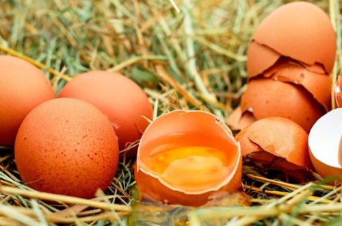 Испанские диетологи назвали продукты, защищающие легкие при коронавирусе