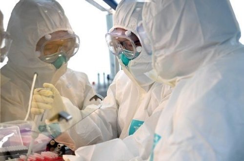 Ученые в США нашли мощную защиту от COVID-19