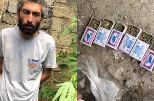 Bakıda narkotik bitkilər əkib-becərən şəxs tutuldu - FOTO