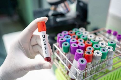 Обнародована последняя мировая статистика по коронавирусу