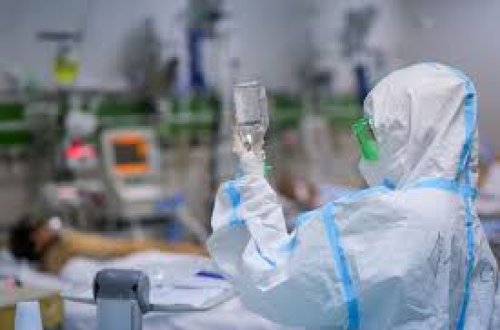 Azərbaycanda koronaviruslu xəstələri bu yolla xilas etmək olar - VİDEO