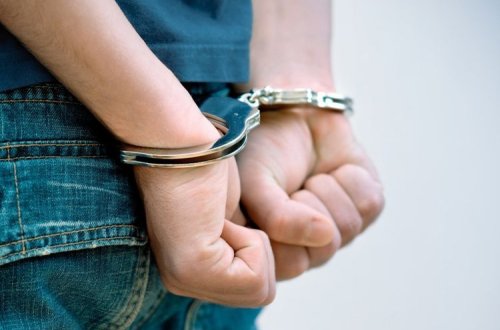 Şəkidə narkotik vasitələrin kultivasiyası ilə məşğul olan şəxs saxlanılıb