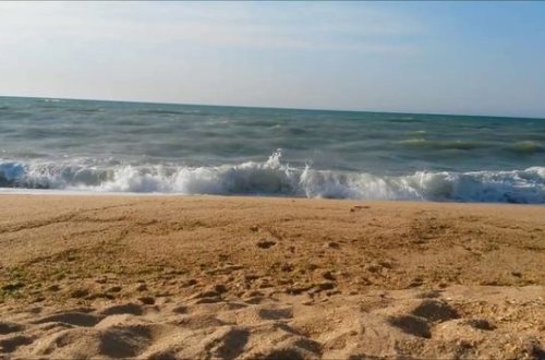 Abşeronda dəniz sahilindən qanunsuz qum daşıyanlar ələ keçdi