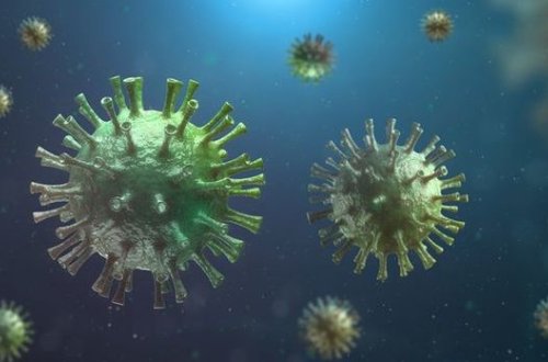 Коронавирус с рынка Пекина оказался старше европейских штаммов