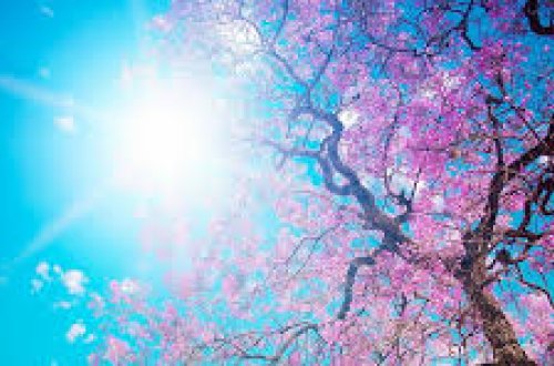 Sabah 36 dərəcə isti olacaq