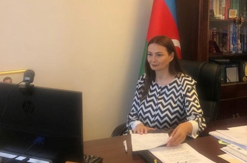 Qənirə Paşayeva 1 həftədə 200-dən çox seçicisi ilə online görüşüb