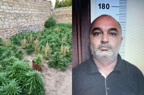 Bakı sakini 64 kiloqram narkotiklə tutuldu - FOTO