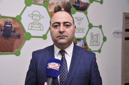 Sərt karantin günlərində kənd təsərrüfatı məhsullarının bazarlara daşınmasında problem olmayacaq- AÇIQLAMA