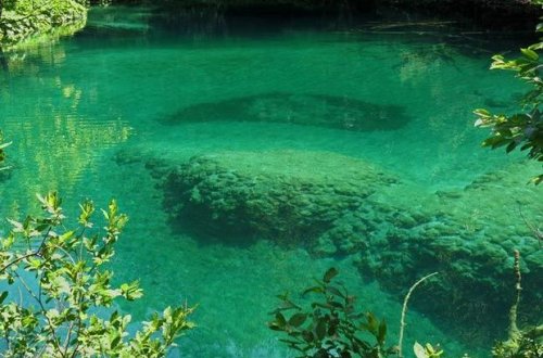 Koronavirus təbii su hövzələrində 25 günə qədər qala bilər