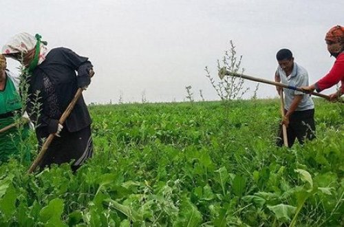 Azərbaycanda növbəti bahalaşma dalğası...