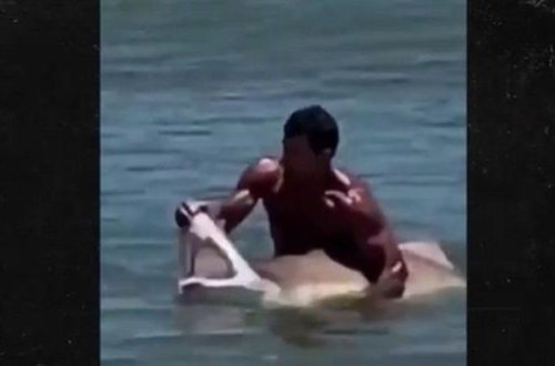 Американец выловил голыми руками акулу - ВИДЕО