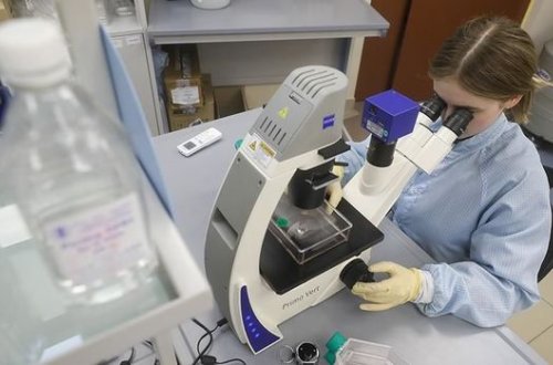 Обнаружен способ уничтожения коронавируса за 25 секунд