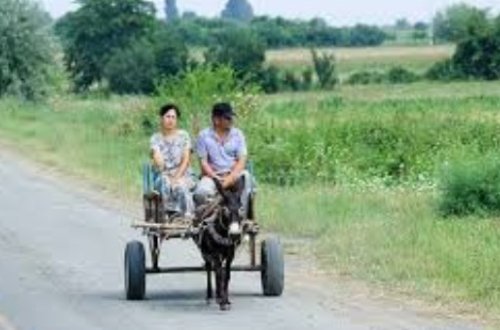 Son Dəqiqə: Kənd əhalisinə bəd xəbər - Bu da bahalaşdı -Rəsmi