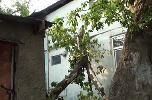 Шквалистый ветер нанес серьезный ущерб инфраструктуре Геранбоя - ВИДЕО