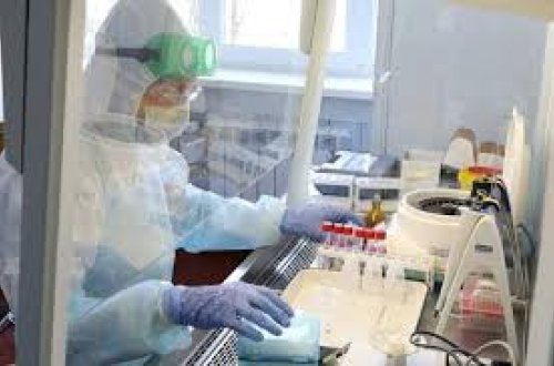 Azərbaycanda daha səkkiz tibb işçisi koronavirusa yoluxdu - AÇIQLAMA