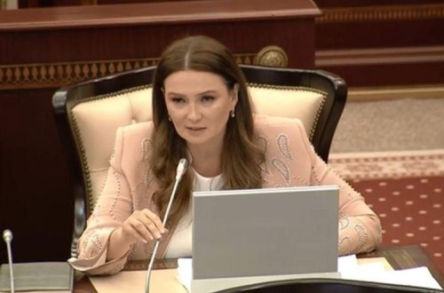 Qənirə Paşayeva: Maskadan istifadə etməyənlər, sosial məsafəni gözləməyənlər barədə daha ciddi tədbirlər görülməlidir