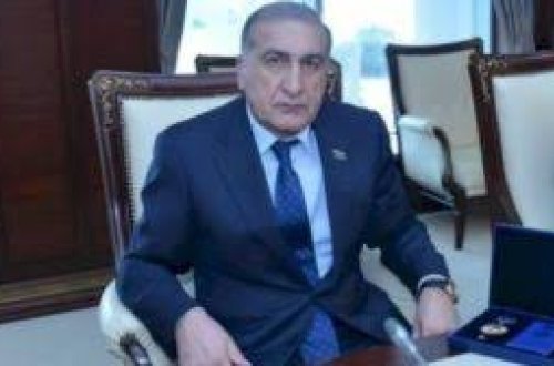 Deputat, donuz, dəvəquşu ferması, mülklər - SİYAHI