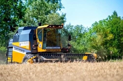 Taxıl sahələrinin 65,9 faizində biçin başa çatıb