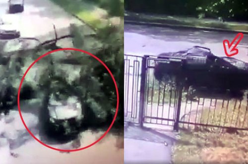 Hərəkətdə olan maşının üstünə ağac aşdı - ANBAAN VİDEO