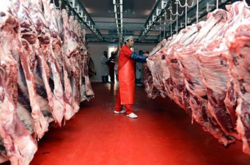 “AGRO-MEAT”in kəsimxanasında 7 tona yaxın yararsız ət aşkar edilib