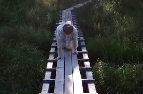 Kağızları qoltuqlarına vurub, diz üstə sürünərək kişinin arzusunu yerinə yetirdilər - VİDEO