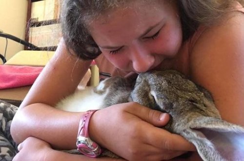 COVID-19-dan daha təhlükəli virus ABŞ-da qorxu yaratdı