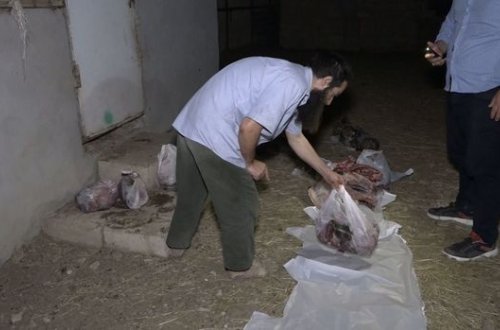 Bakıda 150 kiloqram kəsilmiş at əti aşkarlandı - VİDEO