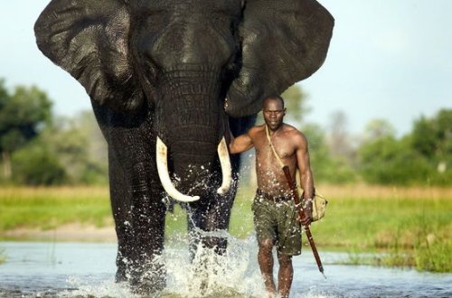 Afrikada yayılmış epidemiya alimləri çaş-baş qoyub - FOTO