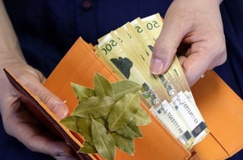 Pulunuzun ÇOX olmasını istəyirsinizsə: Dəfnə pulu maqnit kimi çəkir, sadəcə BUNU edin!