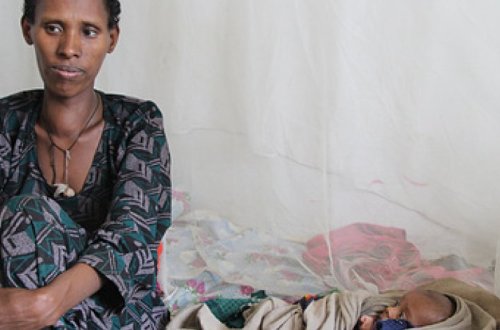 Число голодающих на планете превысит миллиард человек