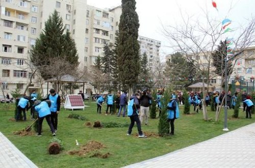AzTV yaydı: İcra başçısının qanunsuzluğu... - VİDEO