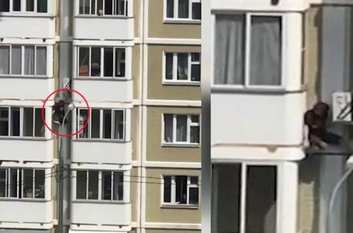 Qonaqlıqdan qayıdan “hörümçək adam” saxlanıldı - VİDEO