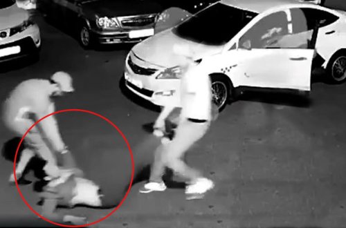 Gənci küçənin ortasında qaçırıb, maşının yük yerinə saldılar – ANBAAN VİDEO