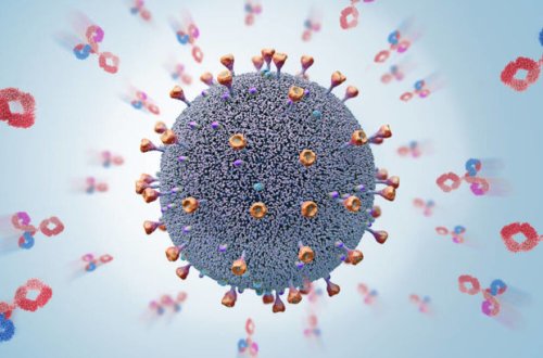 У пациентов с тяжелой формой коронавируса нашли опасное антитело