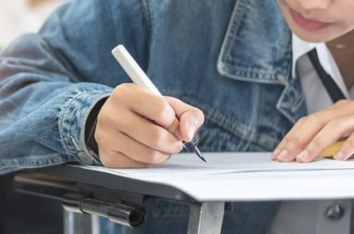 Малейка Аббасзаде: Выпускные экзамены пройдут и в районах, где действует жесткий карантин - ВИДЕО