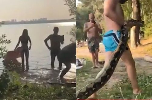 İnsanların gözü qarşısında pitonunu çayda çimdirdi – VİDEO