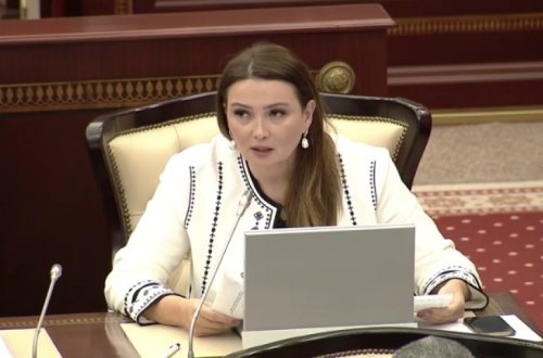 Qənirə Paşayeva: Ermənistanın hərbi təxribatı beynəlxalq təşkilatlar tərəfindən birmənalı şəkildə pislənildi