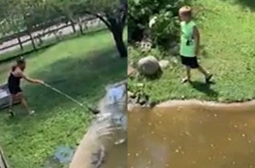 Portmanatını götürmək üçün oğlunu təhlükəyə atdı: timsahlar olan volyerə girdi - VİDEO