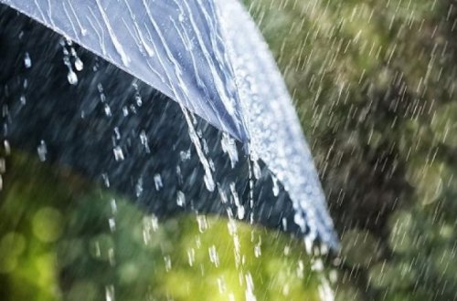 В результате ливней в Шеки обесточены четыре села