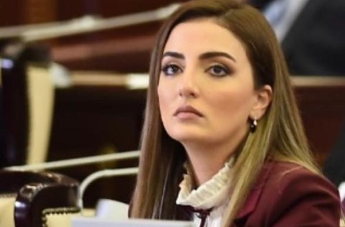 Millət vəkili İslam dünyasının diqqətini Ermənistanın sərhəddə törətdiyi təxribata yönəltdi