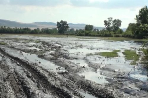 В Огузе устраняют последствия проливных дождей - ВИДЕО
