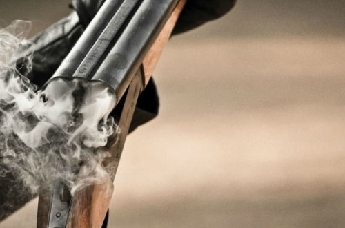 Qayınata tülkü əvəzinə gəlinini güllələyib öldürdü