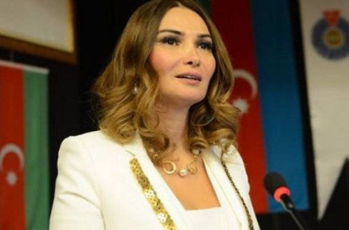 Qənirə Paşayeva Prezidentin su müşavirəsindən yazdı: “Bu sahədə xərclərə nəzarət çox aşağı səviyyədədir”