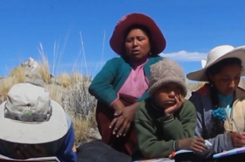 Onlayn dərs üçün hər gün dörd kilometr yüksəyə çıxırlar - VİDEO