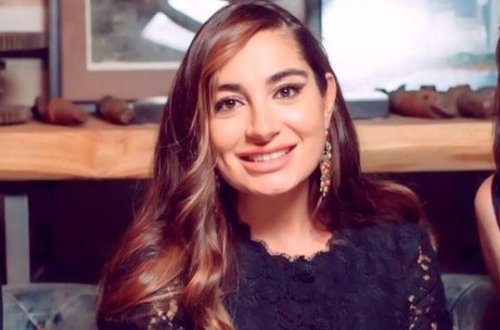 Yayılan məlumatların Prezidentin qızına heç bir aidiyyatı yoxdur - DTX